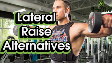 Lateral Raise Alternative